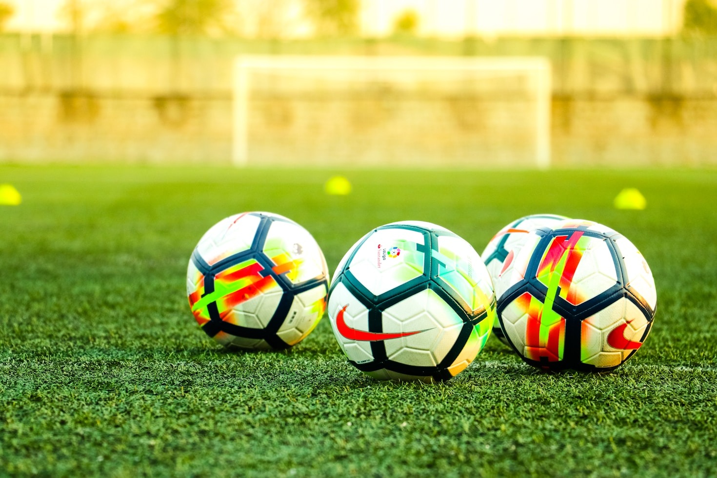 Exploring Fan Dedication in the Football World