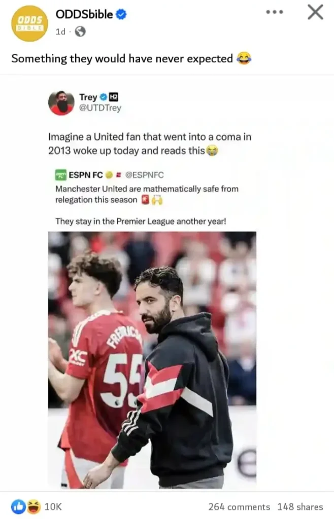 Manchester United fan